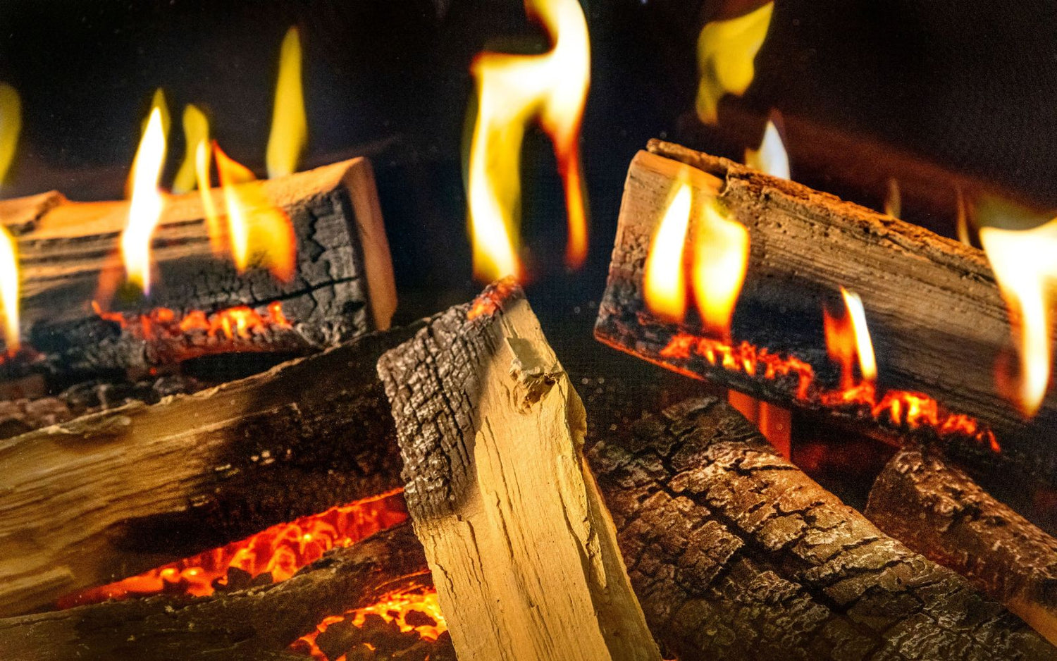 FUOCO OLOGRAMMA